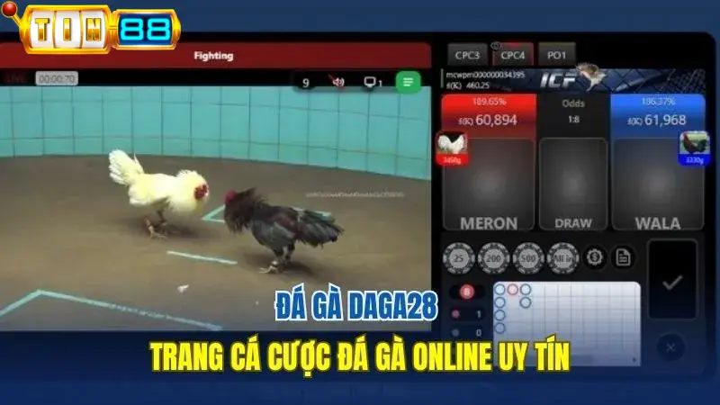 Đá gà Daga28 tại Tin88