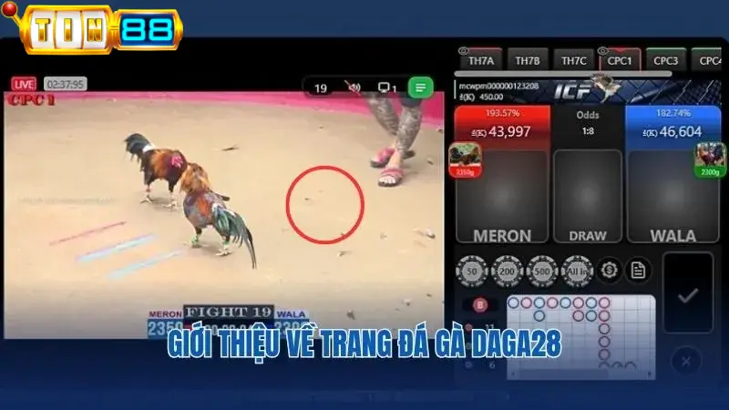 Những ưu điểm của trang cá cược đá gà Daga28