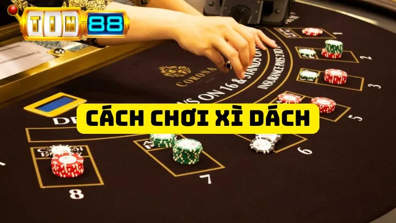 Cách Chơi Xì Dách Chuẩn Cao Thủ