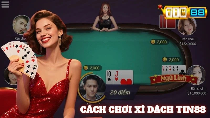 Xì Dách Tin88 | Quy Tắc Cơ Bản