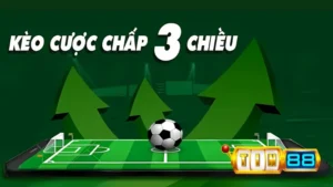 Kèo Cược Chấp 3 Chiều | Những Thông Tin Quan Trọng