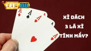 Xì Dách 3 Lá Xì Tính Mấy? Tin88 Giải Đáp Luật Game